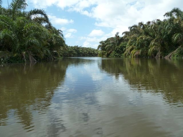 inland waters in the Río San Juan delta