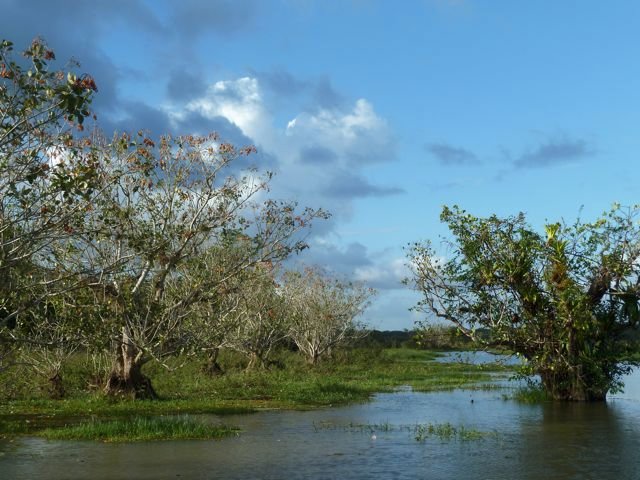Esperanza Verde wetlands