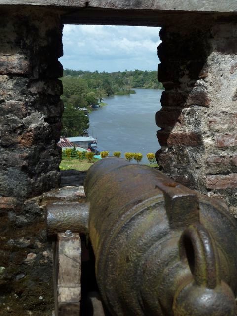 a cannon's eye view