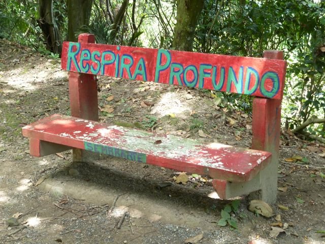 a welcome bench near the top of Cerro Ancón, Panama City