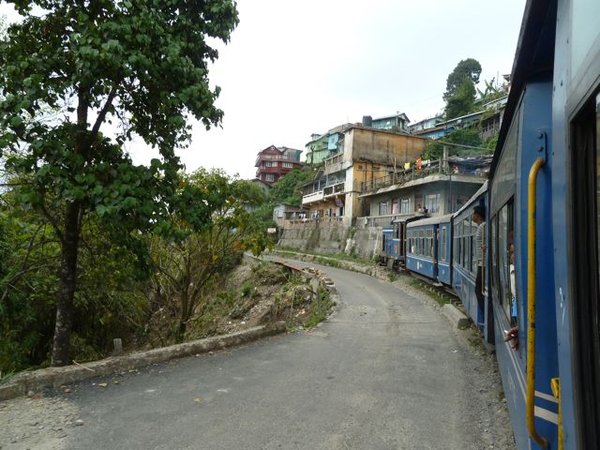 view from the toy train going through Kurseong