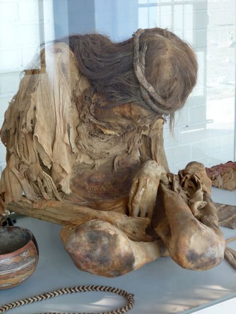 mummified body