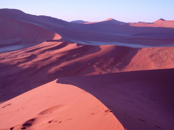 view along Dune 45 at dawn