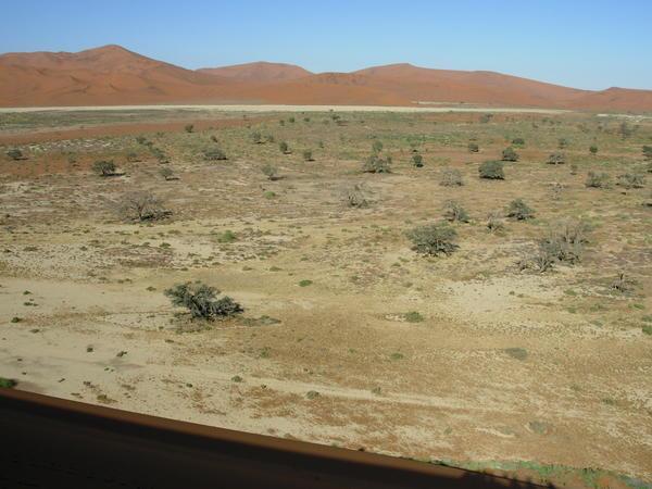 view across the pan on our way to Deadvlei