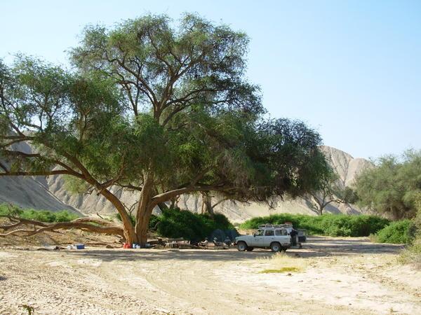 our campsite in the Huanib