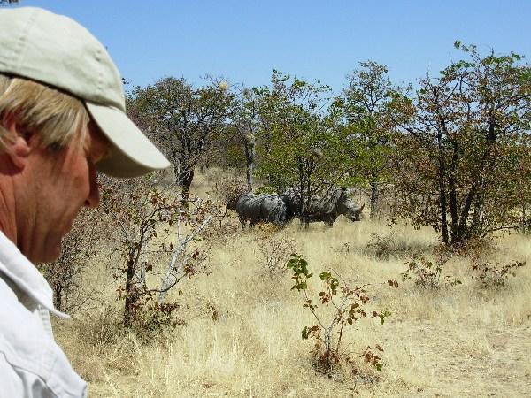 white rhino