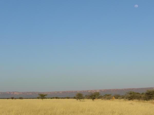 view towards the Waterbug Plateau