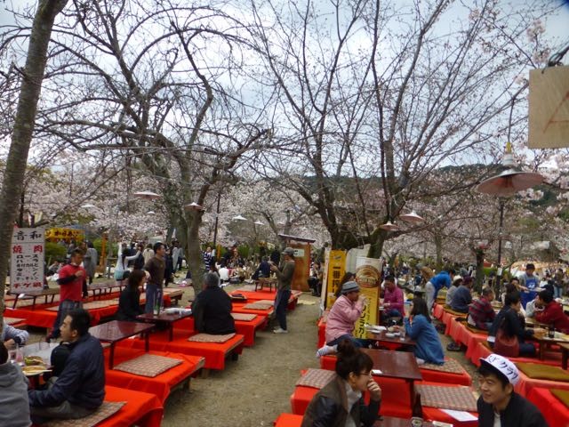 hanami festivities in Kyoto