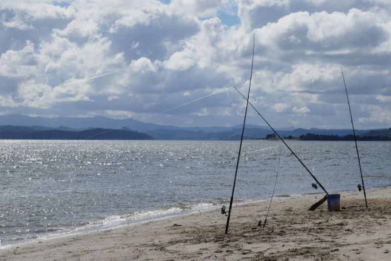 fishing lines, Opononi