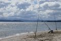 fishing lines, Opononi
