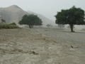 dust storm in the Hoanib