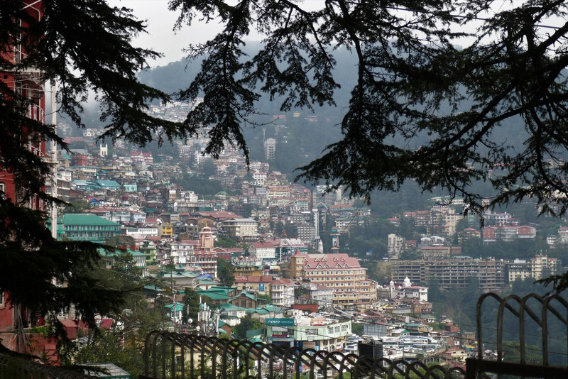 Shimla through the trees