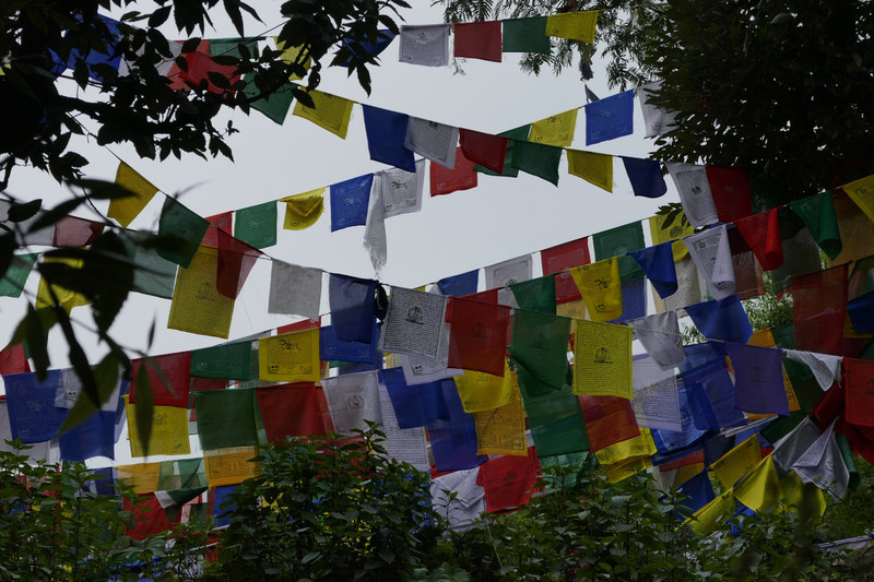 Tsuglagkhang prayer flags