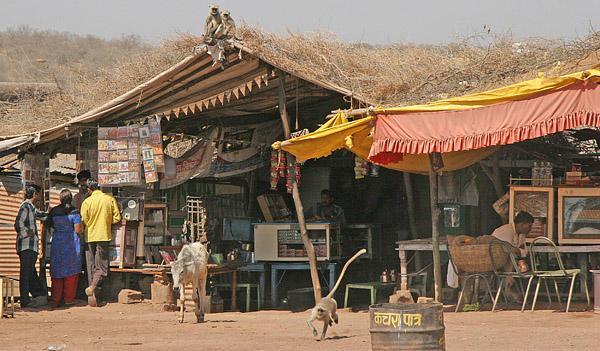 Market in Ranthambore Fort
