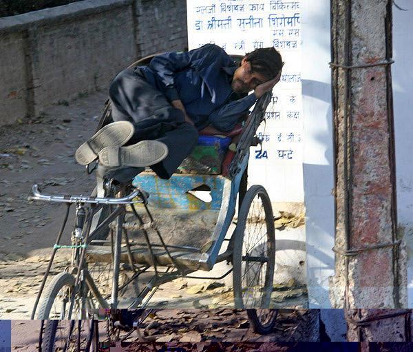 Napping Rickshaw Driver