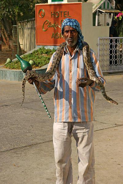 Man with Python outside our hotel