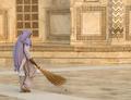 Sweeping the Taj