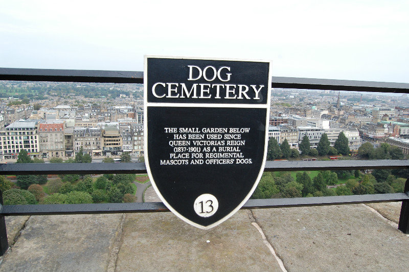 Dog Cemetery