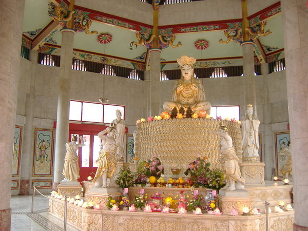 temple 8