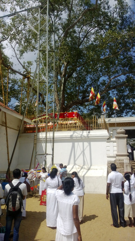 Anuradhapura 15