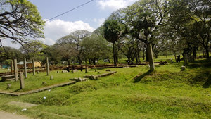 Anuradhapura 22