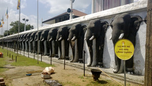 Anuradhapura 25