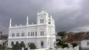 Galle 5