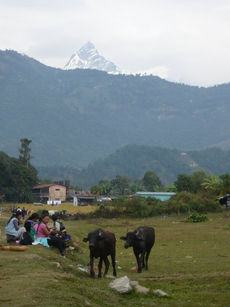 Women of Pokhara
