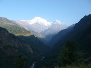 The Amazing Himalaya's
