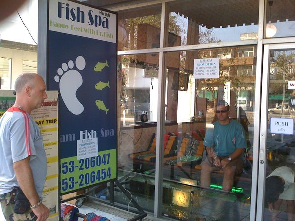 Foot Fish Spa 