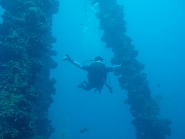 Burgo on a Wreck dive