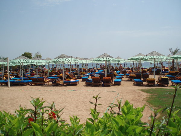 resort beach