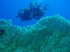 Jorne and I posing by a large gorgonian fan