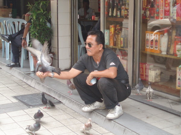 Man feeding the pigeons
