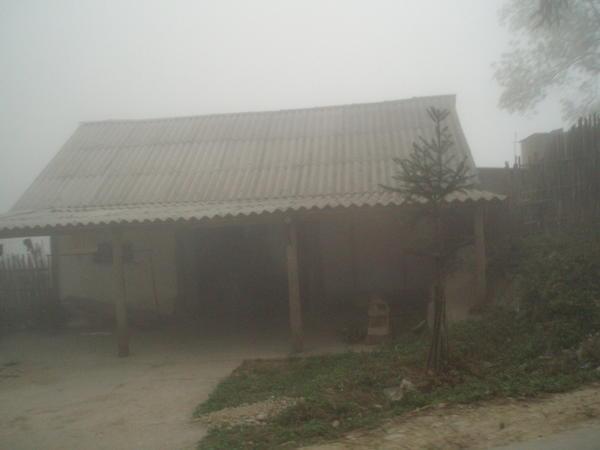 Foggy Hut