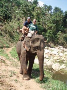 Elephant riding was fun