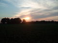 Sunset across the farmland
