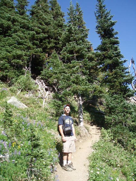 Hiking Trail, Whistler Mountain