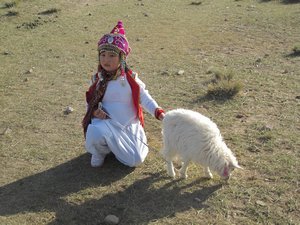 mongolian baby with a goat