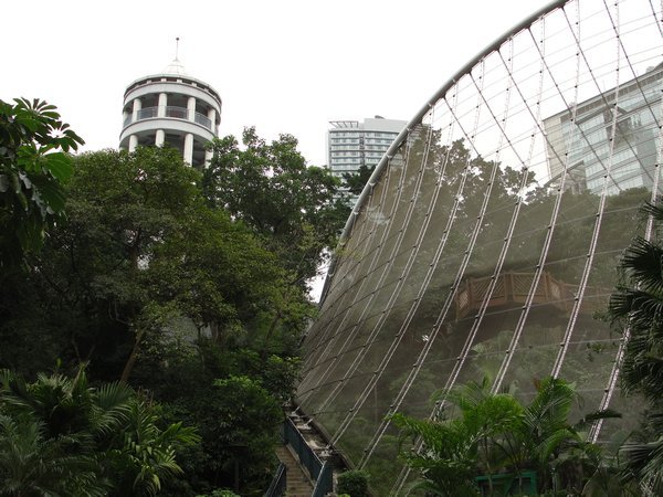 hong kong park aviary and tower