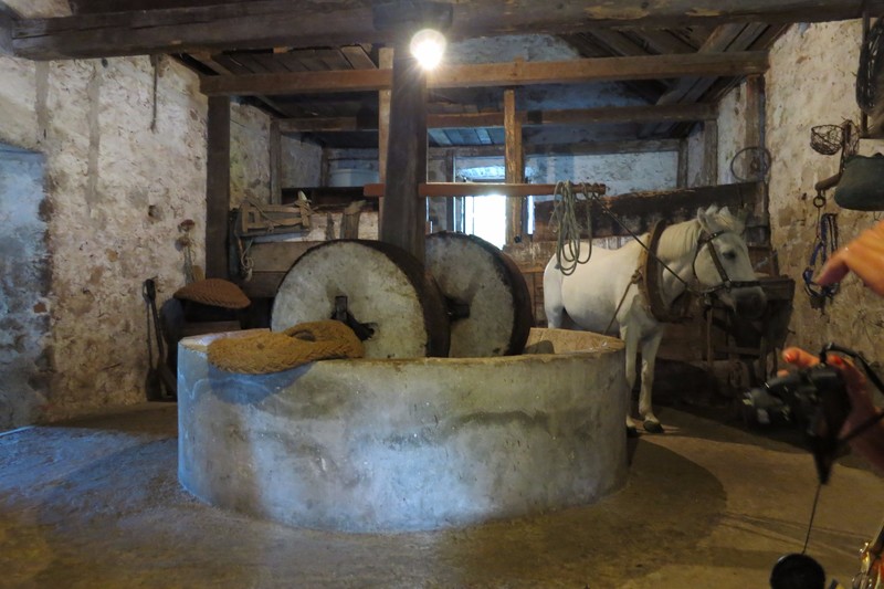 Horse drawn olive grinder