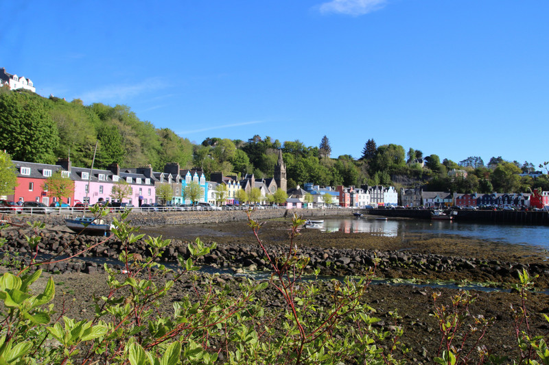 Tobermory tides out