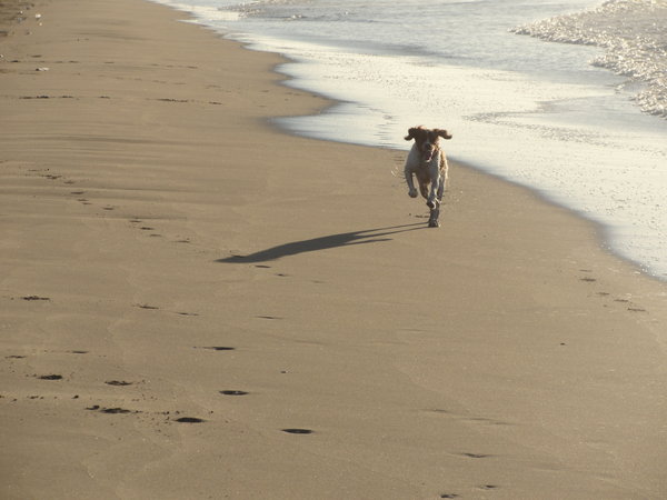 Running on Beach