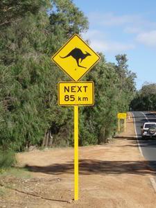 Watch out for Roos.