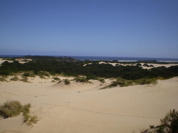 Henty Sand Dunes