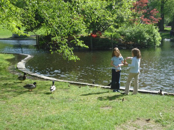 Cute girls feeding the ducks
