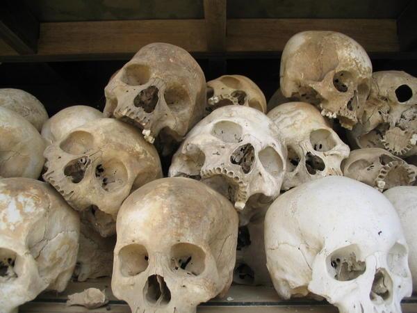 Skulls from the Killing Fields