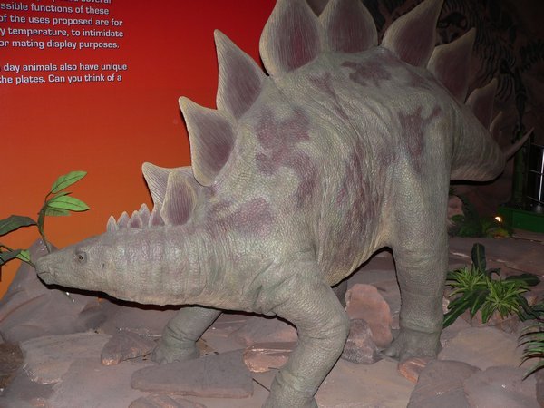Life-life stegosaurus