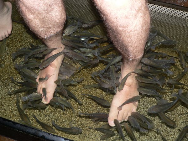 Dad's feet are yummy for fish