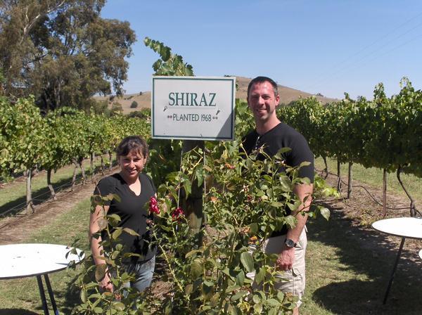 Shiraz At Fergusson's Winery